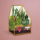 IDH_228_ALLJOY terrarium card with various succulents.