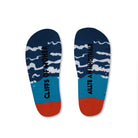 Cliffs of Moher socks